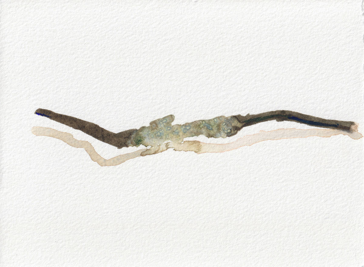 Twig with Lichen. Experimenting with salt on watercolor