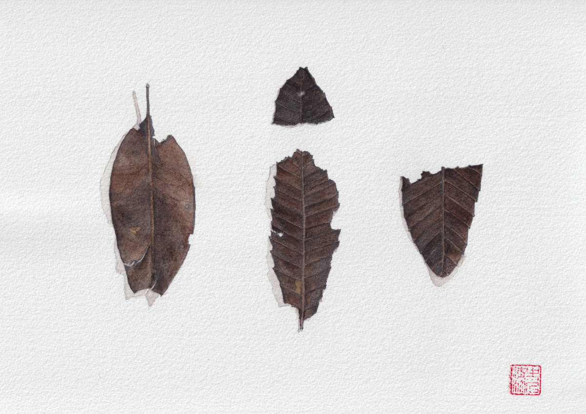 charred complex no. 1 • watercolor and pencil illustration of bunt leaf fragments