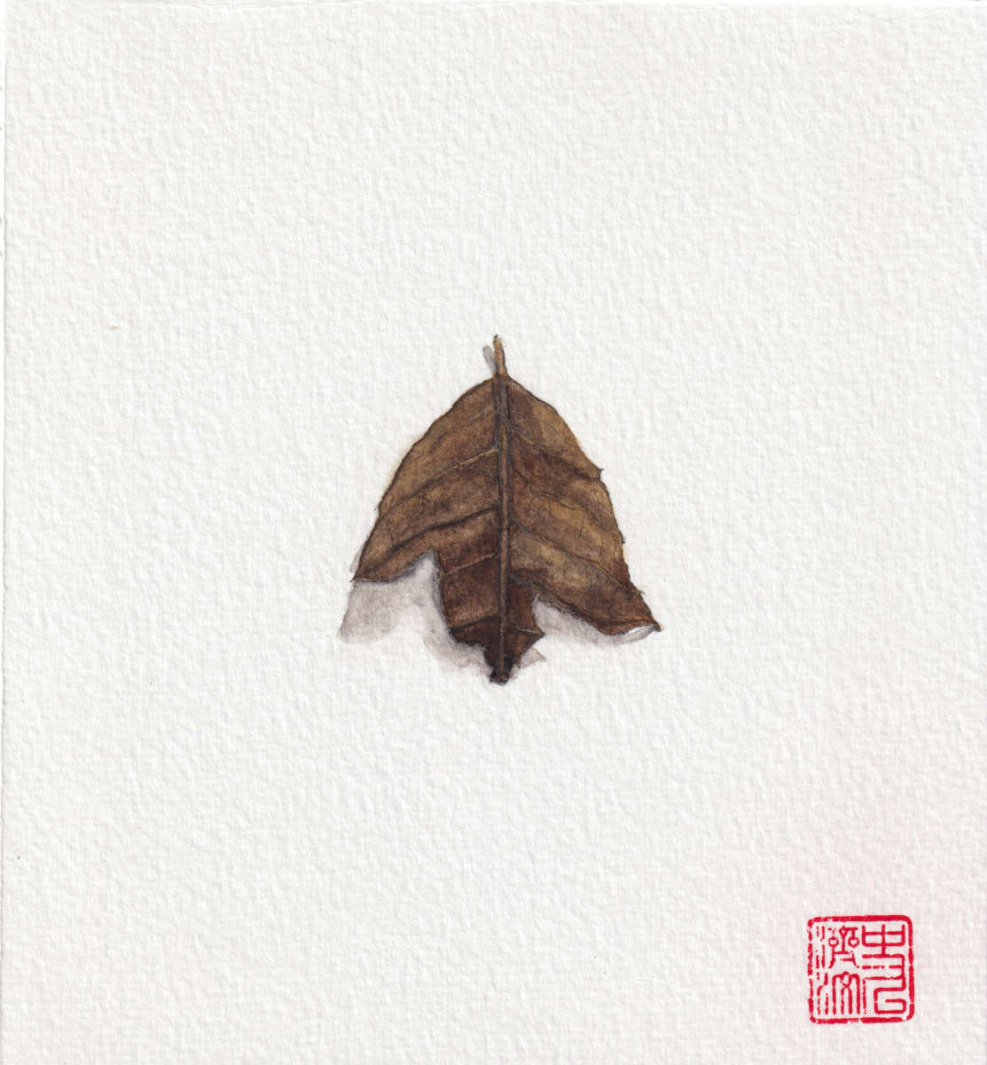 Singed Leaf Fragment. watercolor and pencil illustration